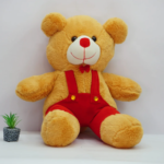 cute brown dungree bear teddy